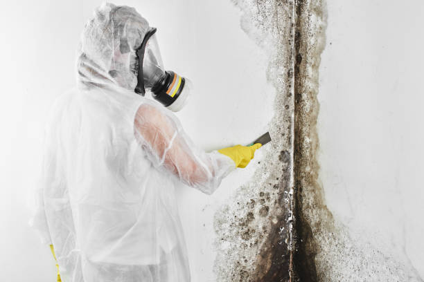 Best Mold Removal Process  in Sublimity, OR