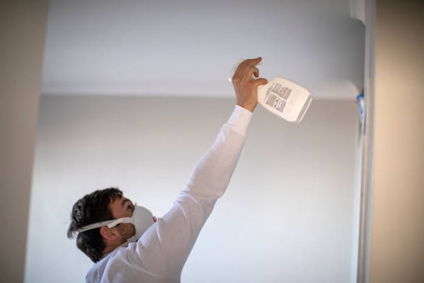 Best Residential Mold Removal  in Sublimity, OR