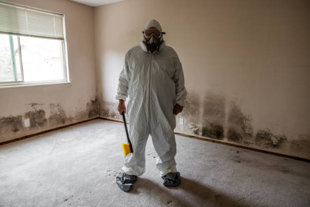 Crawl Space Mold Removal in Sublimity, OR