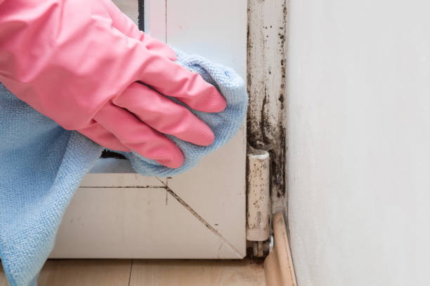 Best Mold Cleaning Services  in Sublimity, OR